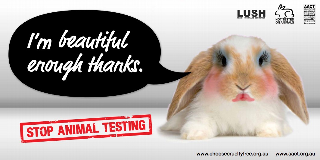 animal-testing-killing-animals-for-the-sake-of-research-askchange