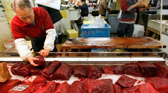 Whale's Meat For Sale