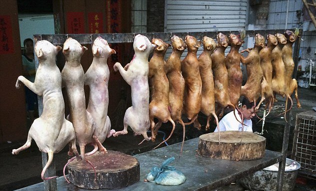 Dogs sold in market