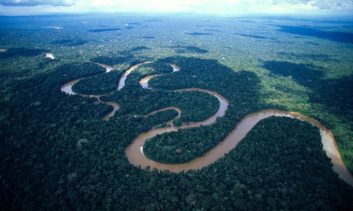 Top View Of Amazon Rainforest