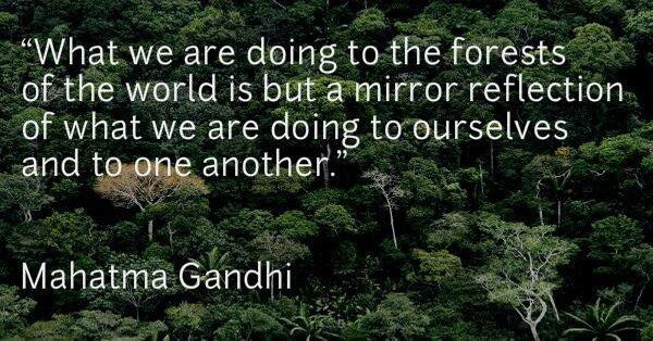 Mahatma Gandhi Quote On Forest Conservation