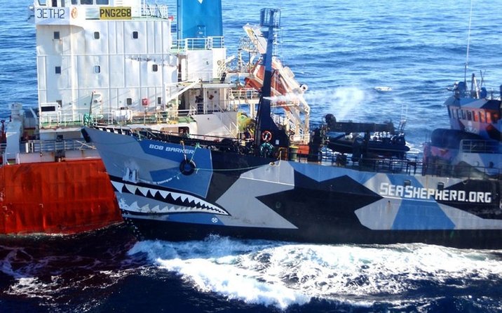 Sea Shepherd Ship
