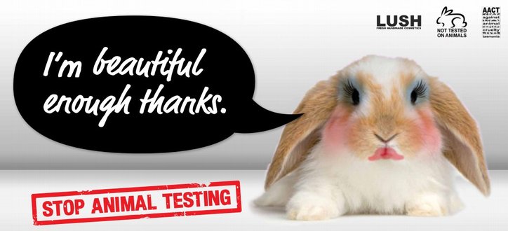 Testing Cosmetics On Animals