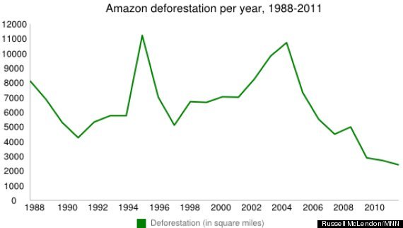 Amazon Deforestation Statistics