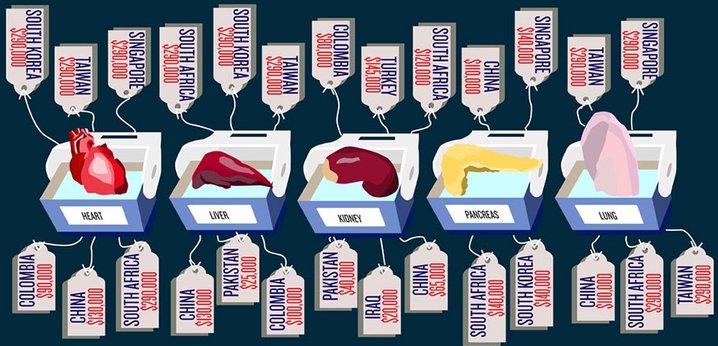 Price of Organs In Different Countries