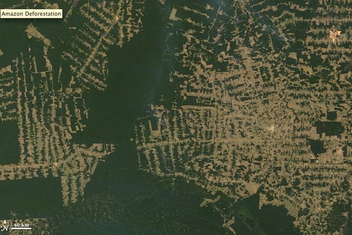 Satellite Image Of Amazon