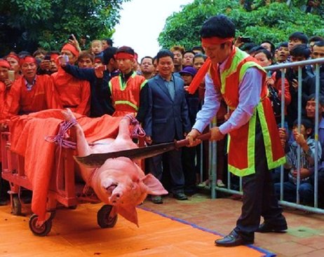 Nem Thuong Pig Sacrifice Festival