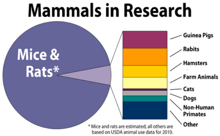 Animals Used For Testing