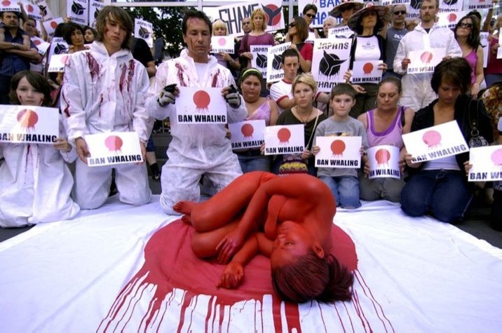 Anti-Whaling Demonstrations