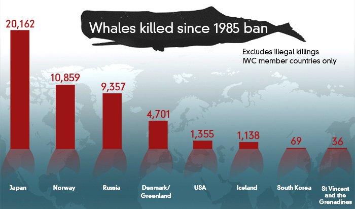 Whaling Statistics