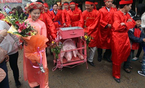 Pig's Paraded On Streets Of Nem Thuong